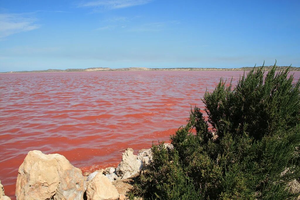 В австралии есть озера. Озеро Хиллер (остров Миддл). Розовое озеро Хиллер Австралия. Озеро Хиллер (hillier), Западная Австралия. Озеро Хилер во встралии.