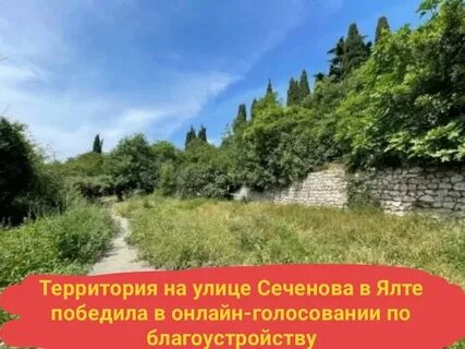 Голосование ялта