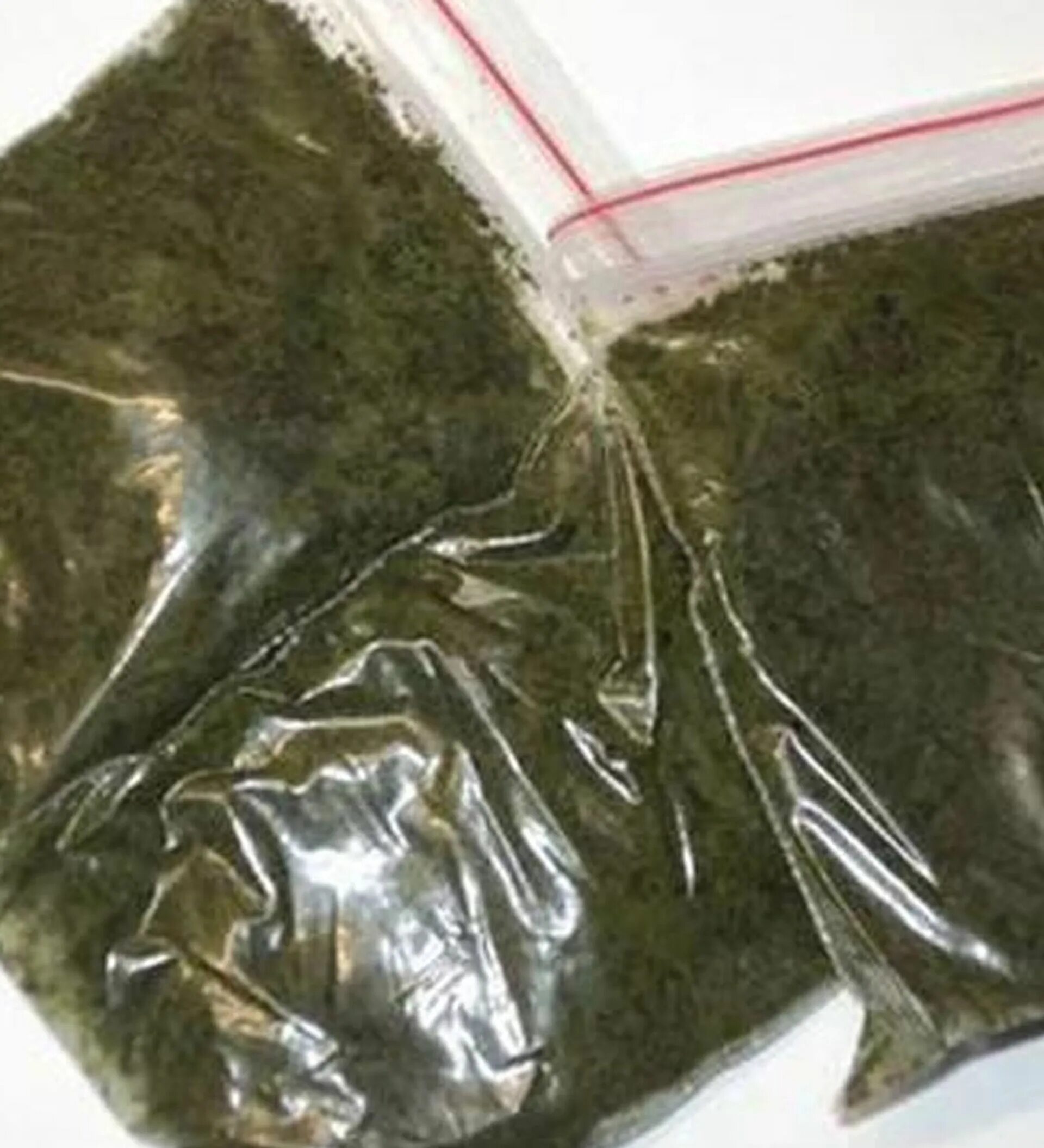 Шпак горох. Насик про. Насик про. Насик про. Шпак порошок.