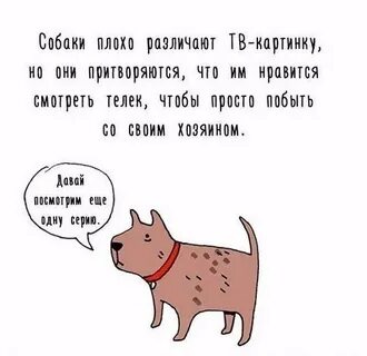 Вась ты почему делаешь вид как будто