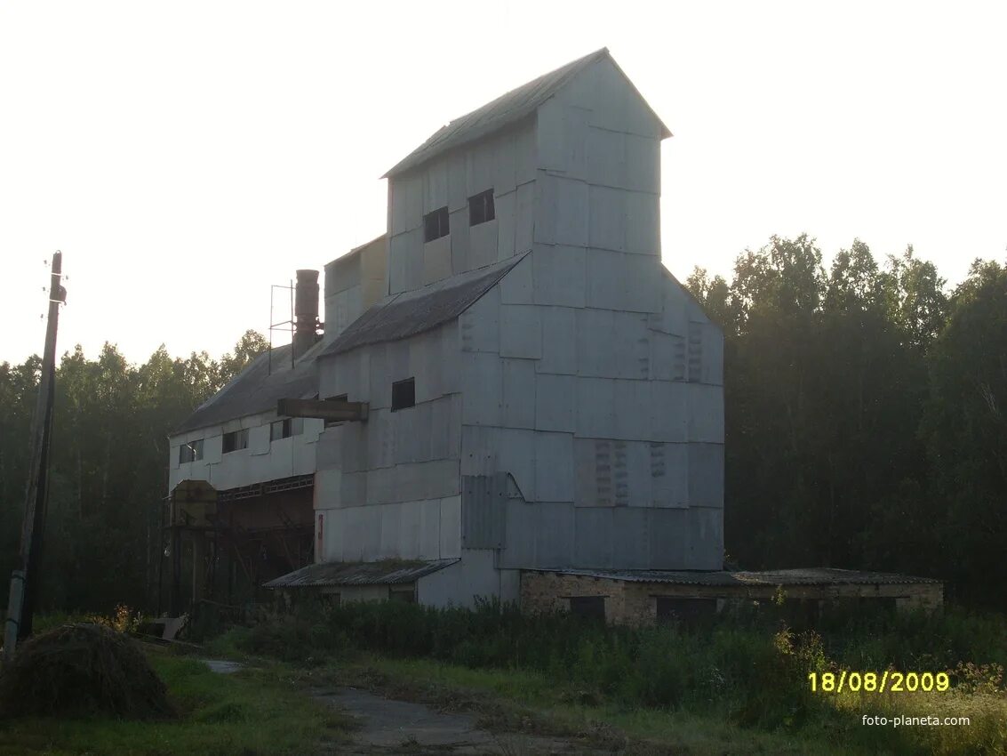 Погода в костино на неделю. Село Костино Муромцевский район. Костино Омская область Муромцевский район. Муромцево Омская область деревня Костино. Трасса Муромцево Костино.