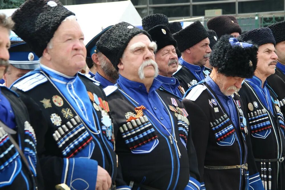 Казаки ставрополья, атаман шкуро. Казаки кубанского казачьего войска. Российское казачье общество. Российское казачье общество. Папаха казачья кубанская.