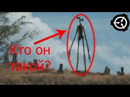 Существует ли фонд scp реальной жизни