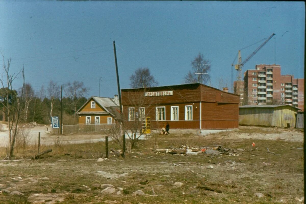 Старая школа сосновый. Деревня Устье Ленинградской области Сосновый Бор. Посёлок Сосновый Бор Ленинградская область. История деревни Устье Сосновый Бор. Временный поселок Сосновый Бор.