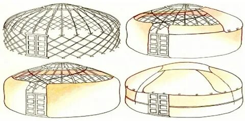 Біреудің есекке еліктеп жатқанының жақыннан түсірілген фотосы