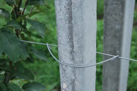 Проволока на столбе