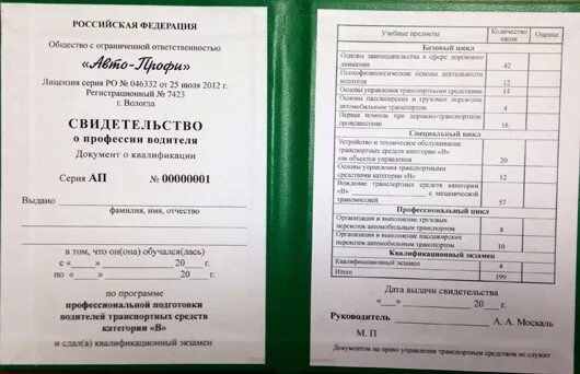 Сертификат об окончании фотошколы. Свидетельство об окончании автошколы категории а образец. Форма свидетельства об окончании автошколы. Свидетельство об окончании автошколы. Сертификат об окончании автошколы образец.