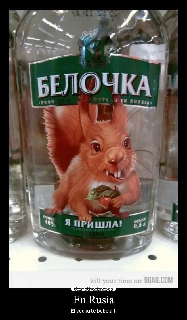 Когда приходит белочка от пьянки. Белочка пришла. белочка пришла прикол. белочка я пришла юмор.