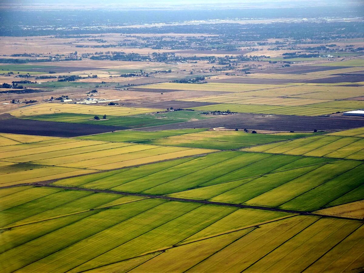 Fields area. Сакраменто поля. Южная Калифорния плантации. Рисовое поле Америка. Сельскохозяйственные поля в Калифорнии.