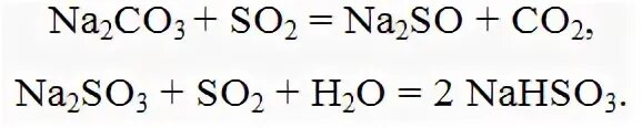 Naso3