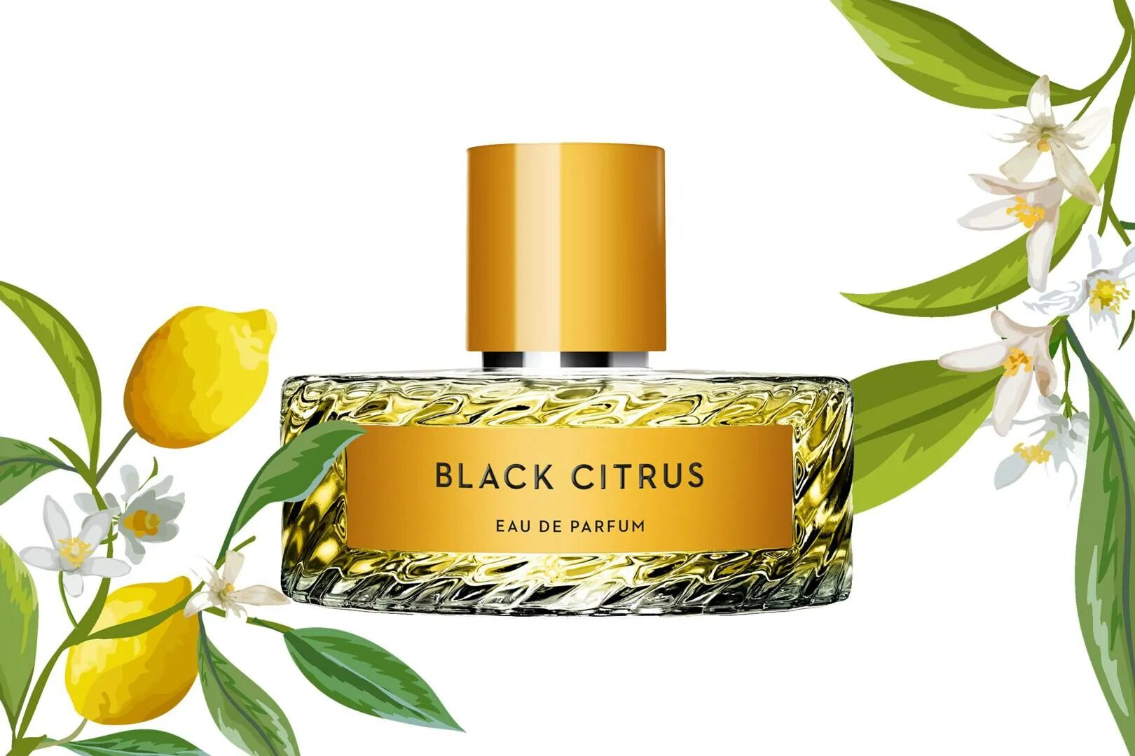 Vilhelm Parfumerie Black Citrus EDP 100 ml. Black Citrus Vilhelm Parfumerie. Black Citrus Парфюм. Блэк цитрус Vilhelm. Туалетная вода цитрус