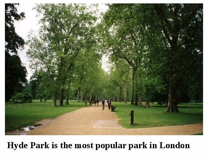 Hyde Park картинки. Парк горизонтально. Гайд парк. Станкозаводский парк. Парк ис