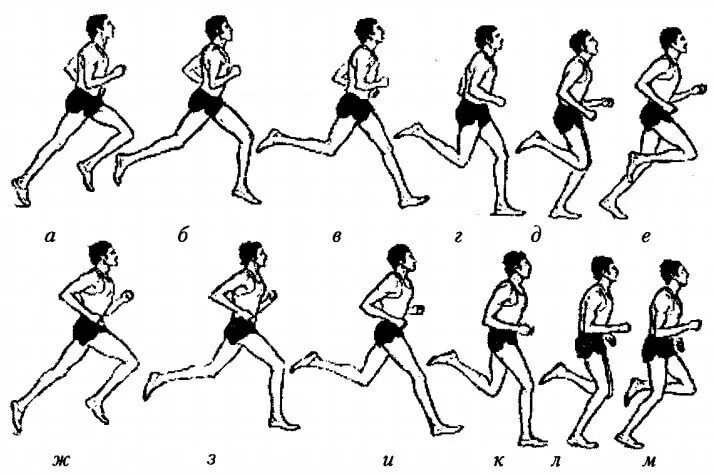 Техника длительного бега. Техника бега на средние дистанции 1000,500 м.. 1. Техника бега на средние дистанции.. Бег на средние дистанции техника бега. Техника бега на длинные дистанции (2 и3 км ).