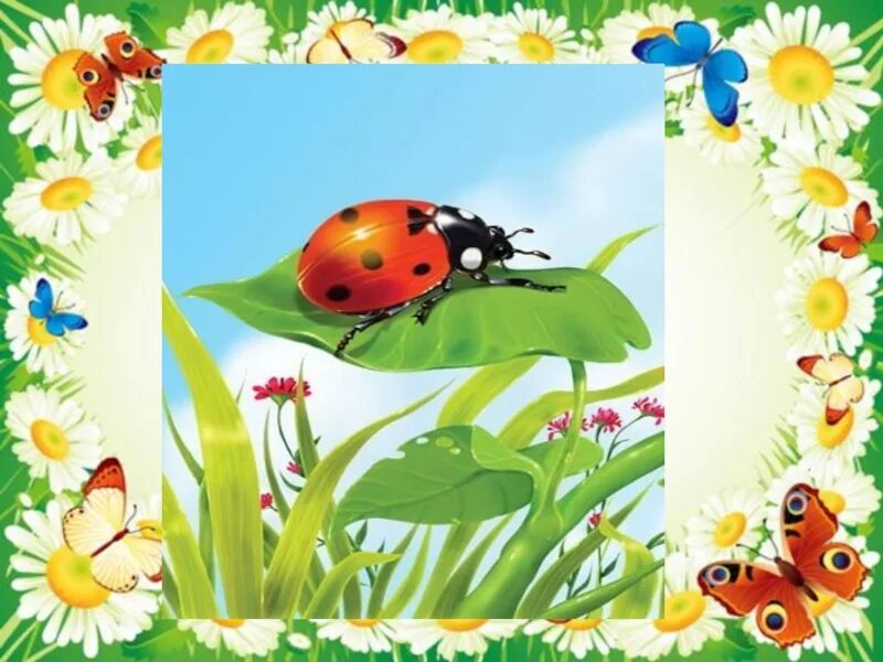 Мавританский газон тимирязевка. Луг окружающий мир 1 класс. Луг занятие для детей. Луговое сообщество. Луг окружающий мир.