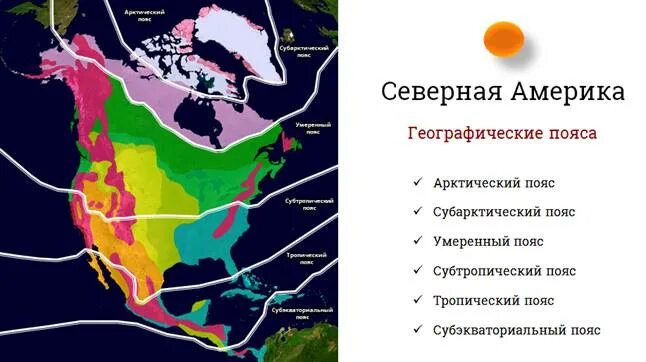 Большую часть северной америки занимает природная зона