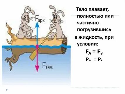 Плавает полностью погрузившись в воде