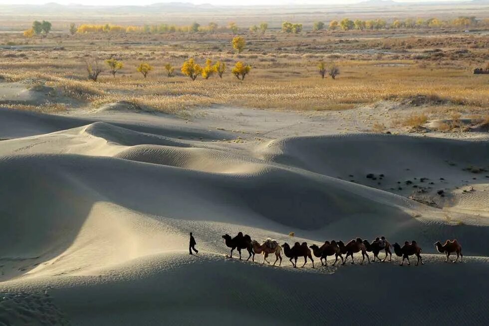 Самые большие 10 пустыни в мире. Такла-Макан. Пустыня Такла Макан. Китайская пустыня Такла-Макан. Такла Макан Барханы.