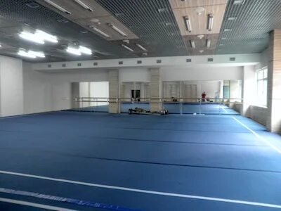 Круглое спортивная