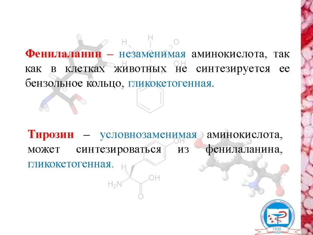 Фенилаланин незаменимая аминокислота. Фенилаланин формула структурная. Триптофан формула аминокислоты. Фенилаланин аминокислота формула структурная. Ароматические амины тирозин.