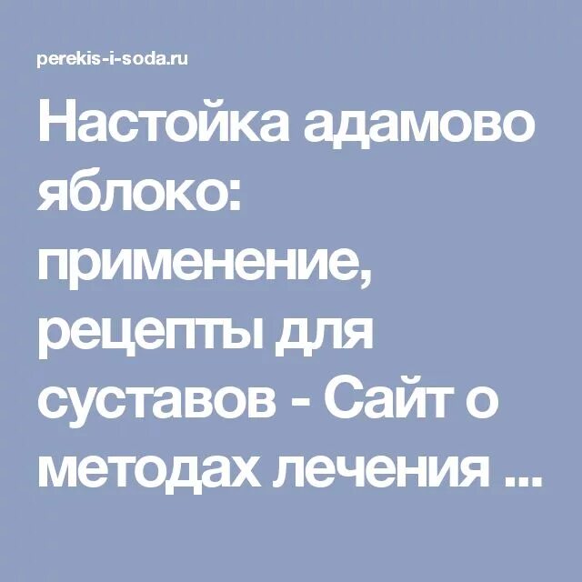 Адамово яблоко рецепт настойки. Адамово яблоко применение настойки. Адамово яблоко настойка для суставов. Адамово яблоко настойка для суставов рецепт.