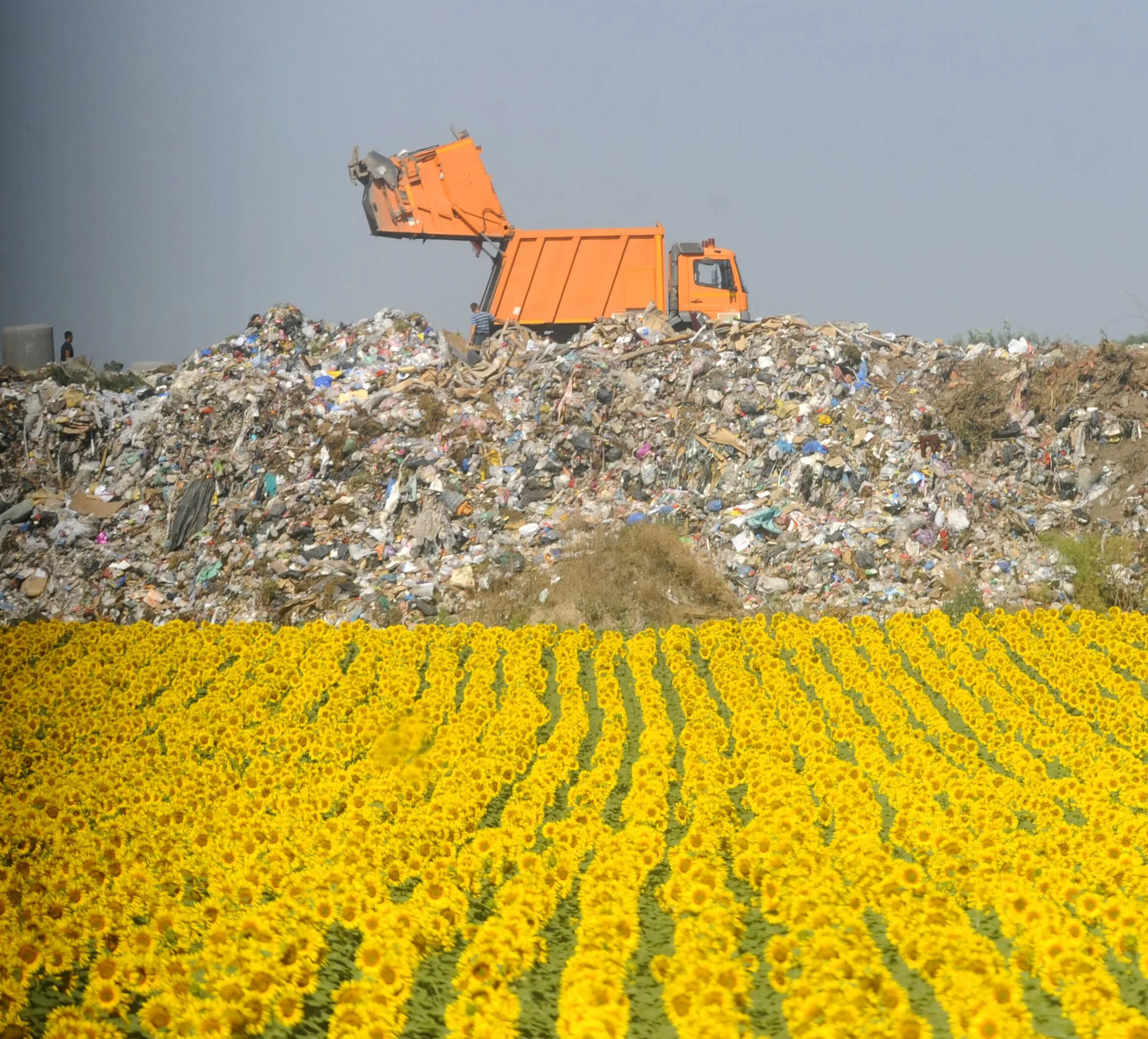 Municipal solid waste. Solid municipal waste. Утилизация населения планеты. Solid waste facility permits. Landfill.