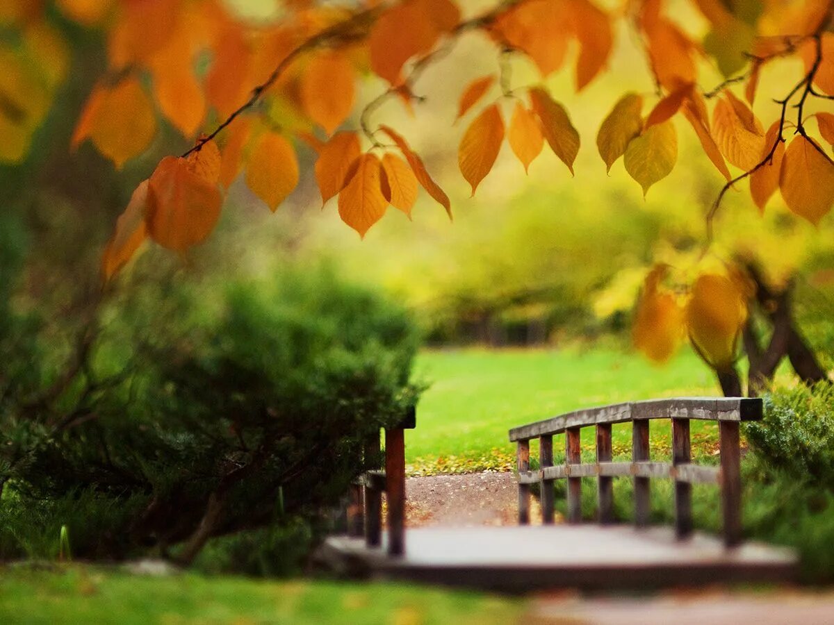 открытки конец лета начало осени. осень сентябрь город. конец сентября природа. сентябрь картинки. осень конец сентября.