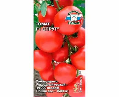 Томаты седек