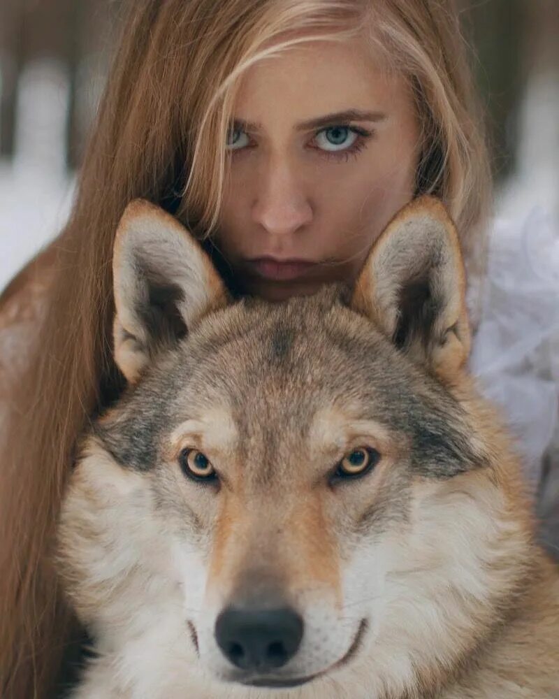 Woman with animals. Волкособ. Katerina Plotnikova. Девушка с волком. Волчица и девушка.