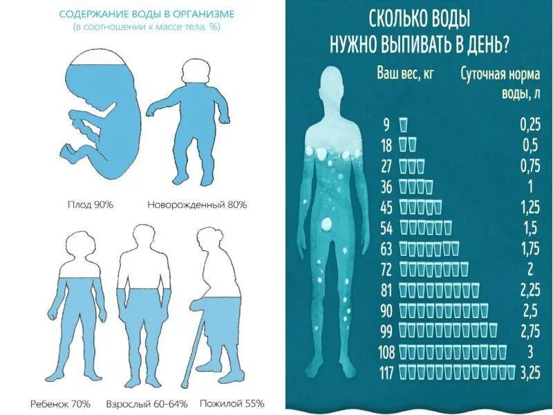 Сколько нужно выпивать в день. Норма воды в день для человека. сколько пить воды. норма воды на человека выпивать. нормы питья воды для человека.