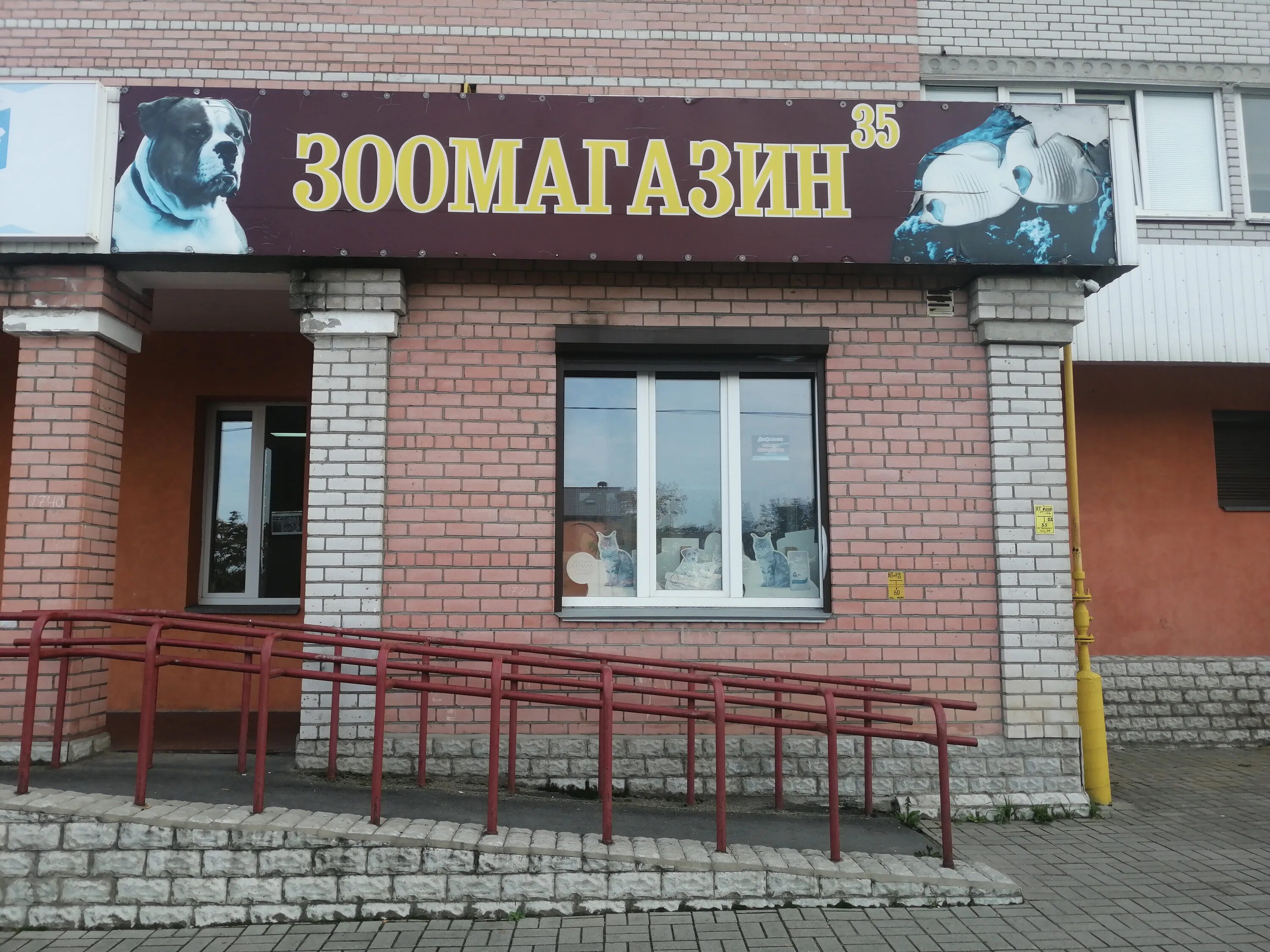 Ежевика раахе череповец. Зоомагазин череповец. раахе 48 череповец. советский 104 череповец зоомагазин. зоомагазин череповец с животными.
