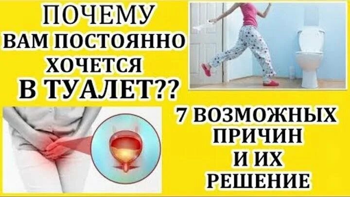 Что делать если много писаешь