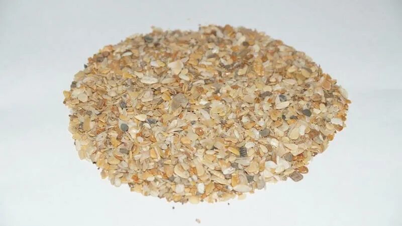 Ракушка морская кормовая для кур. Ракушка для корма птицы. Ракушка морская 1 кг. Ракушка дробленая. Ракушка морская кормовая.