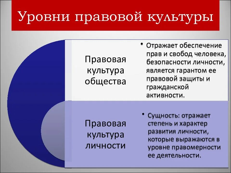 2 уровня правовой системы. Структура правосознания и структура правовой культуры. Характеристика правовой культуры. Особенности аудиторской деятельности. Высокий уровень правовой культуры.
