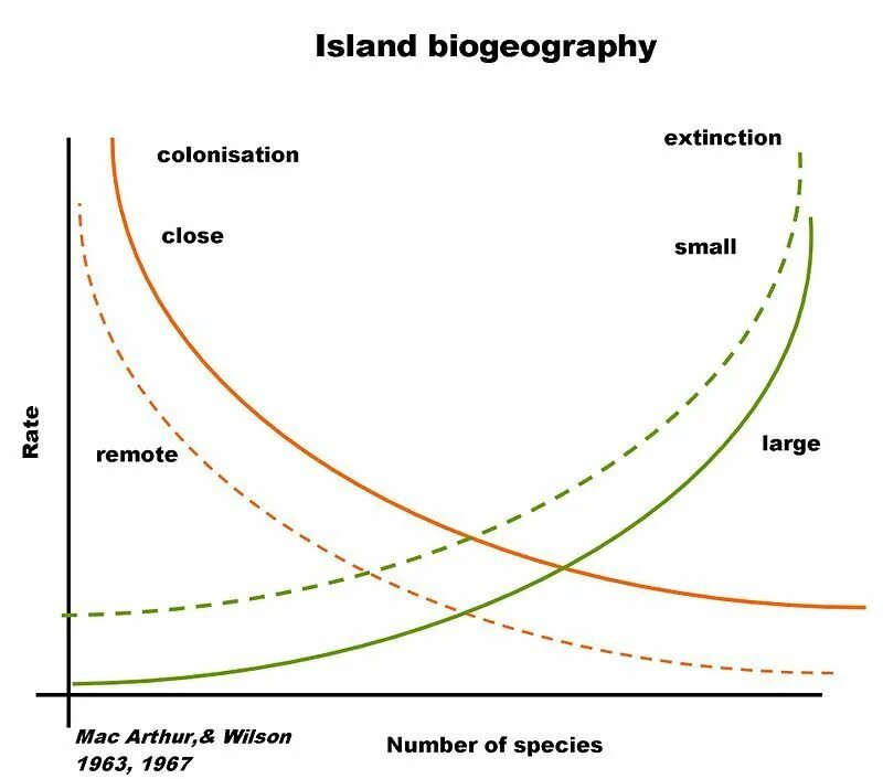 Specific area