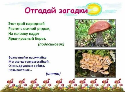 3 загадки про грибы