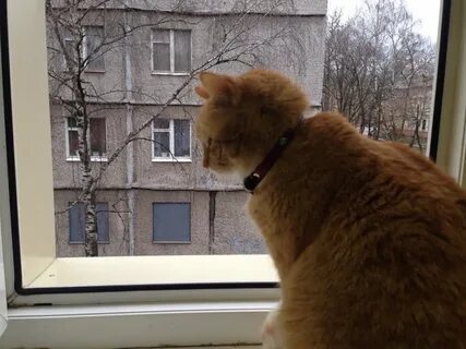 Астин балашиха