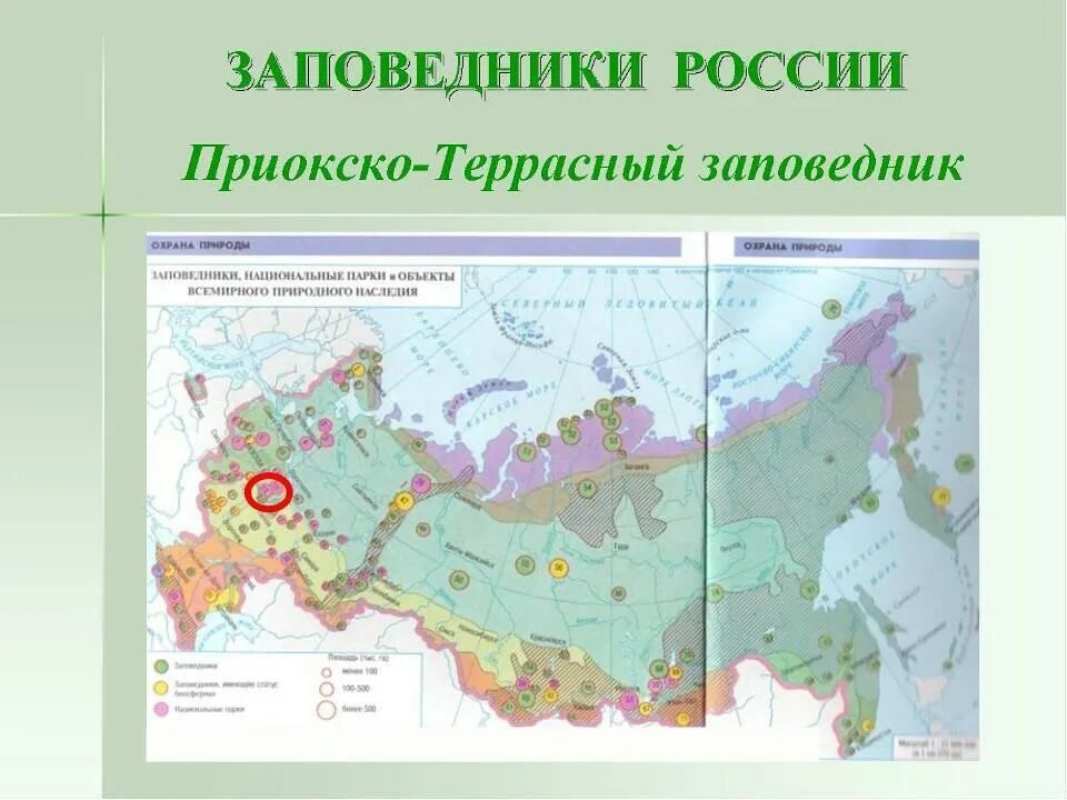 Национальные парки на контурной карте. Приокско-Террасный заповедник на карте России. Карта заповедников России. Ката заповедников Росси. Приокско-Террасный заповедник где находится на карте.