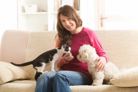 DIY - Tackling Pet Odors Pets, Diy carpet cleaner, How to clean carpet