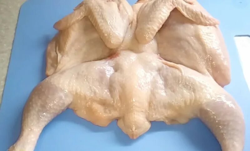 Как разрезать курицу для цыпленка. Тушка курицы разрезанная. разрезать курицу для запекания. курица тушка порезанная.