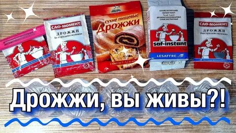 Как проверить дрожжи