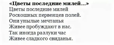 Последний милей роскошных первенцев полей