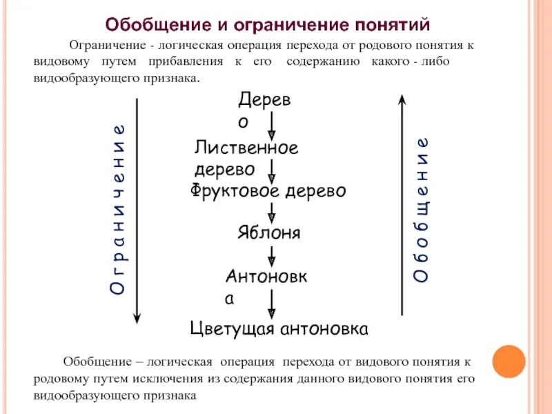 Обобщение понятия аналогия. Обобщение понятия аналогия