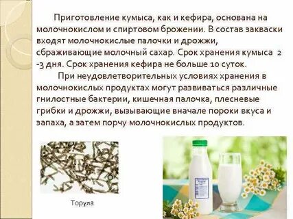 Кефир получают используя бактерии