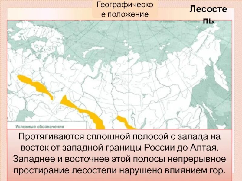 Где находятся лесостепи и степи. Географическое положение лесостепи. Зона лесостепей географическое положение. Географическое положение лесостепи в России. Лесостепи и степи географическое положение.