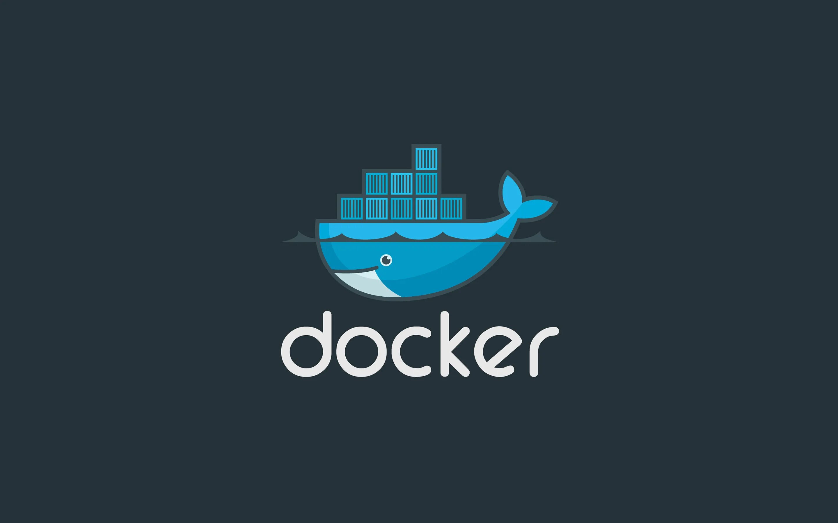 Docker exec. Docker. докер контейнер. docker wallpaper. docker s3..