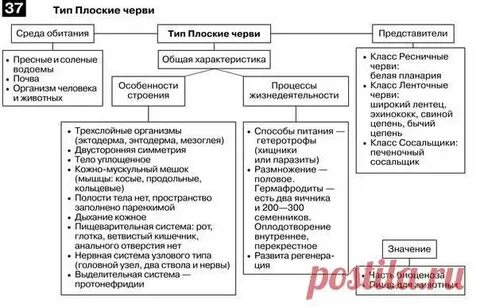 Тест черви егэ