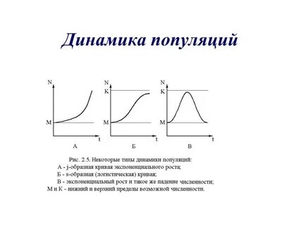 Стабильный тип