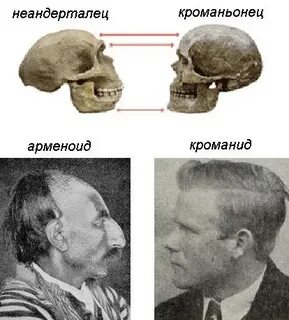 Потомки общего предка это