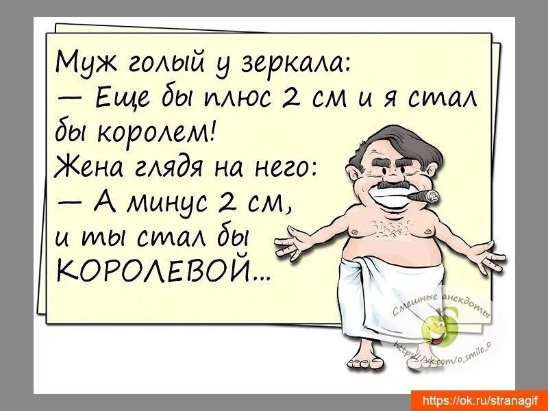 Про мужа и жену. Анекдоты про мужа и жену. Анекдоты про мужа. Анектоды про Муза и жену. Шутки про мужа.