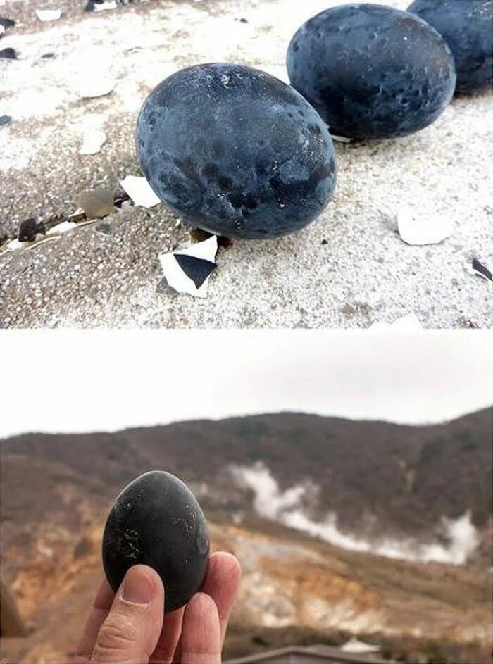 Черные яйца. Овакудани черные яйца. Черные яйца в Японии. Сжигание яйца